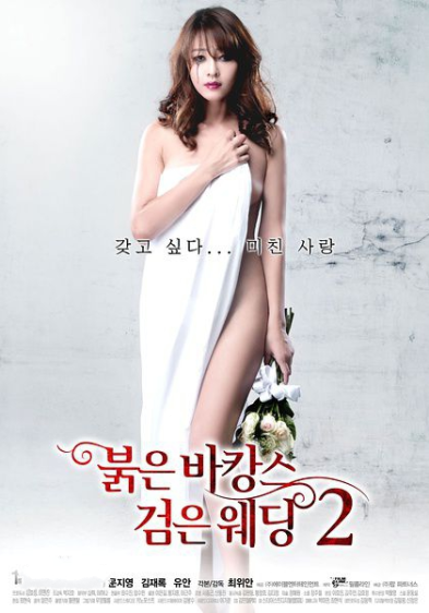 《红色假期黑色婚礼2》（2013）｜韩国惊悚情色犯罪力作