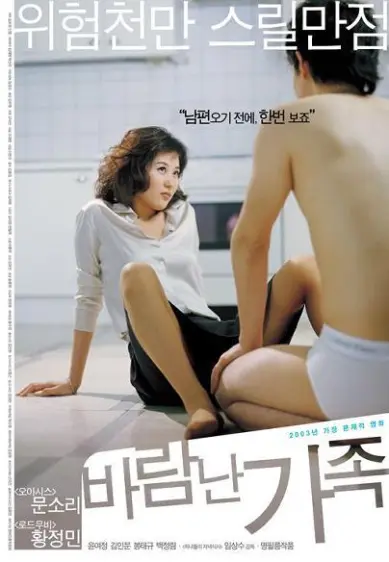 《家有艳妻》(2003)｜韩国限制级电影 文素丽、黄政民痛情演绎