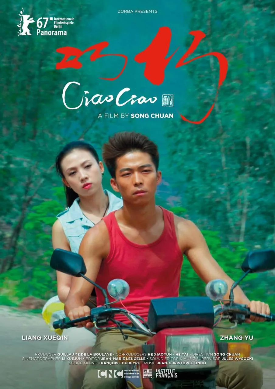 《巧巧》（2017）| 中法合拍现实题材争议之作