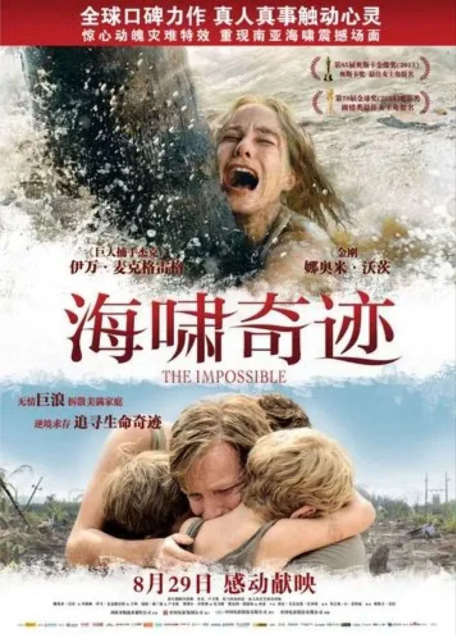 海啸奇迹（2012）｜剧情｜家庭｜灾难