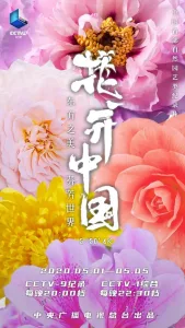 花开中国 (2020) ｜ 纪录片