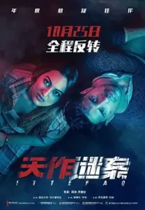 天作谜案 (2017) ｜ 悬疑 ｜ 惊悚