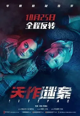 天作谜案 (2017) ｜ 悬疑 ｜ 惊悚