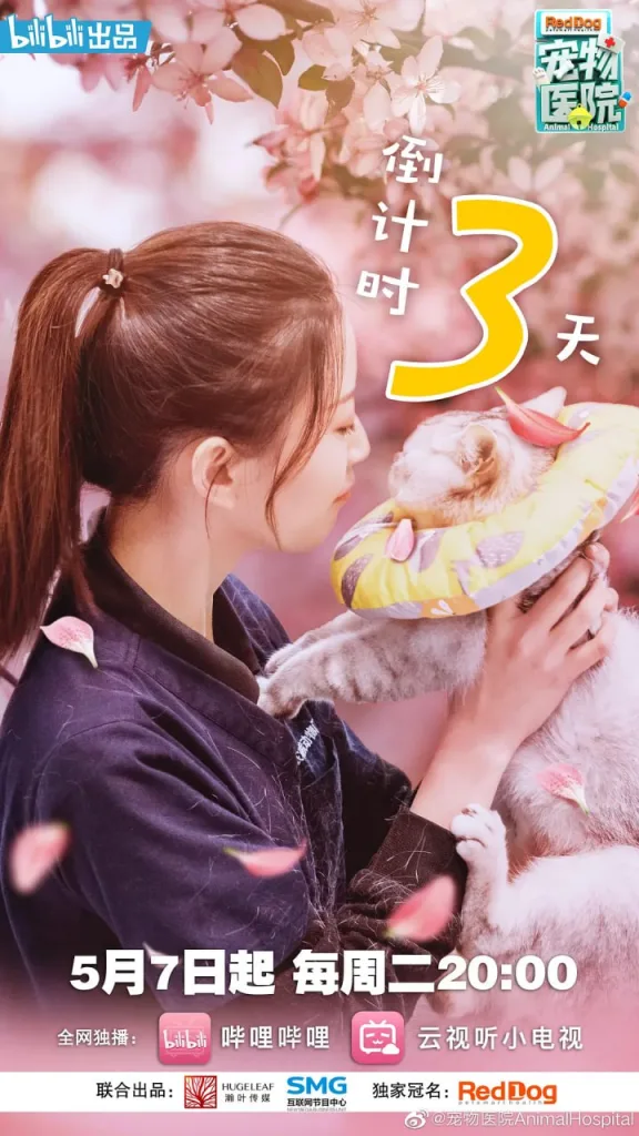 宠物医院(2019)|纪录片