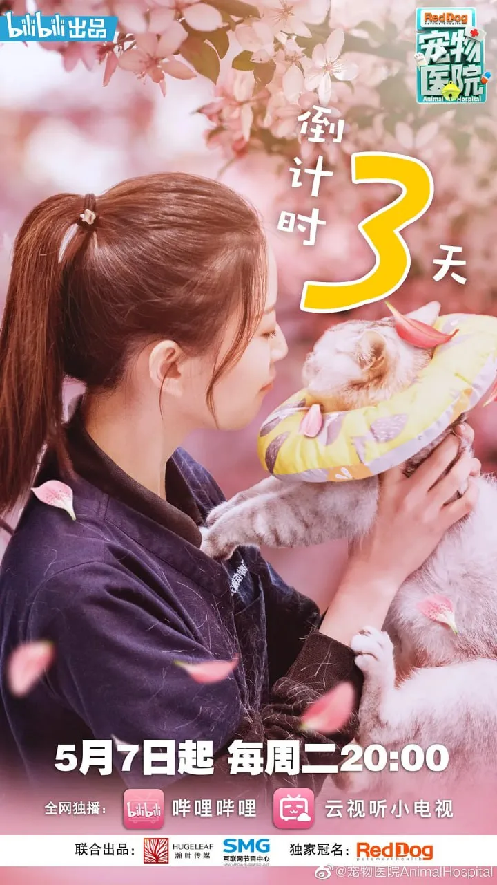 宠物医院（2019）｜纪录片