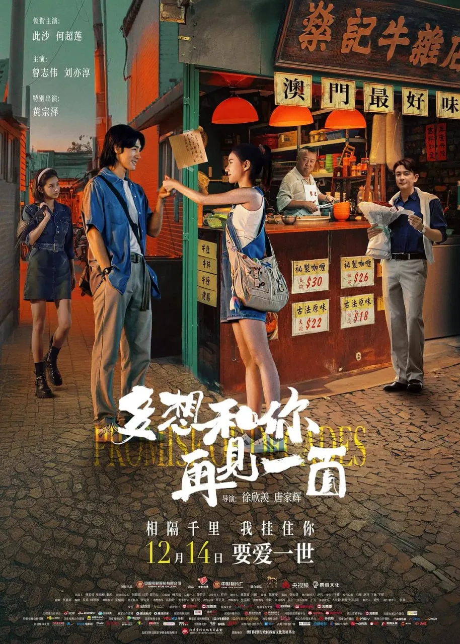 多想和你再见一面（2024）｜剧情｜爱情