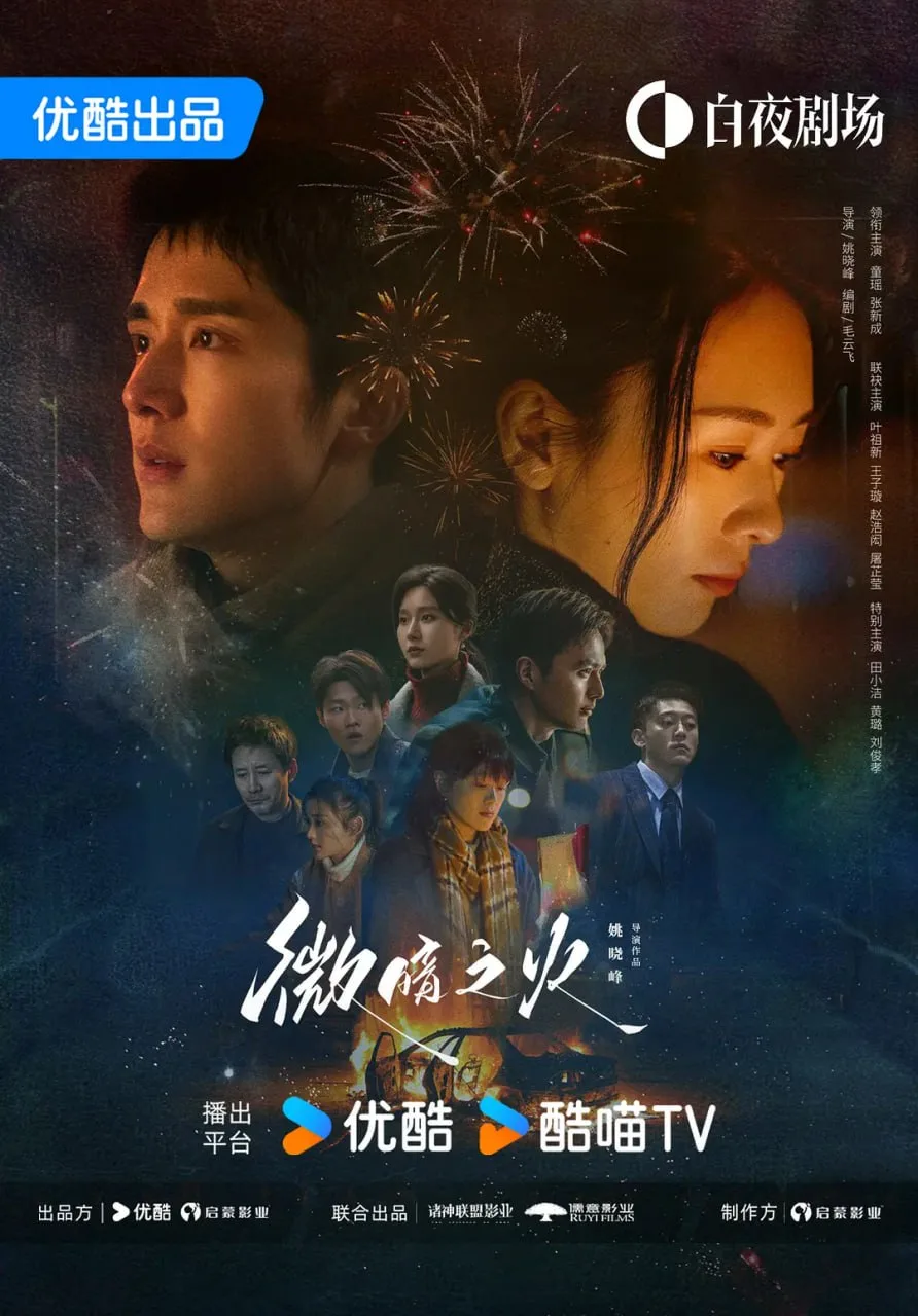 微暗之火（2024）｜剧情｜悬疑｜国剧