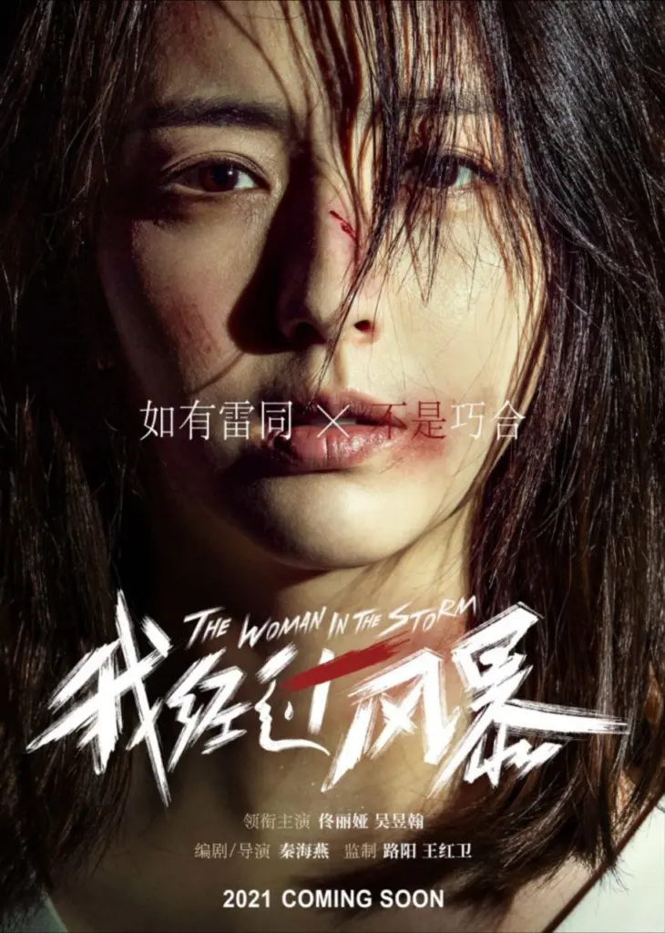 我经过风暴 2023 | 剧情|家庭