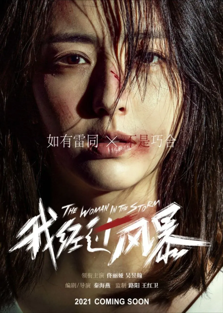 我经过风暴 2023 ｜ 剧情｜家庭