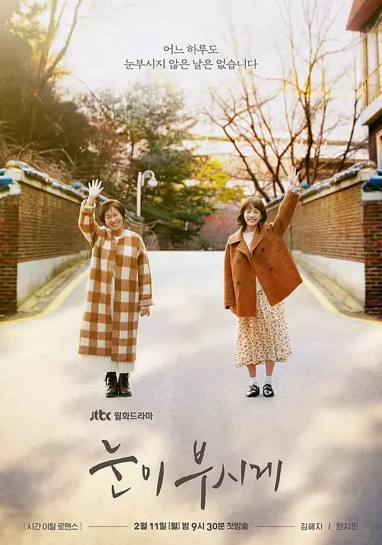 耀眼 눈이 부시게 (2019) ｜ 剧情｜爱情｜奇幻