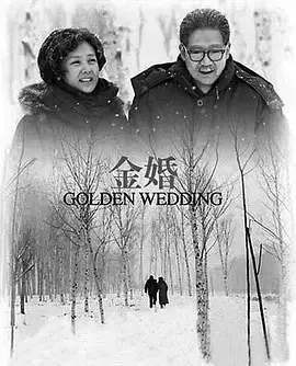 金婚 (2007) ｜ 剧情｜家庭｜国剧