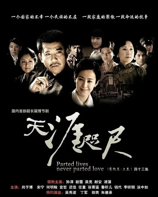 天涯咫尺（2008）｜剧情｜家庭