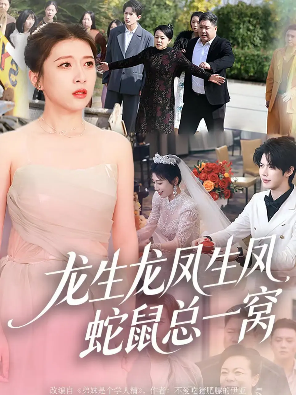 龙生龙凤生凤，蛇鼠总一窝 2025 ｜ 短剧｜家庭｜逆袭