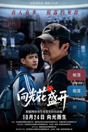 向光花盛开（2025）｜电影｜剧情｜人性纪实