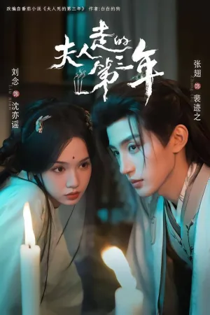 夫人走的第三年 2026 ｜ 剧情 ｜ 奇幻 ｜ 爱情 电影海报