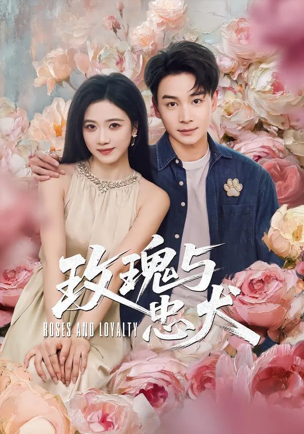 玫瑰与忠犬 2026 ｜ 剧情 ｜ 爱情 ｜ 短剧