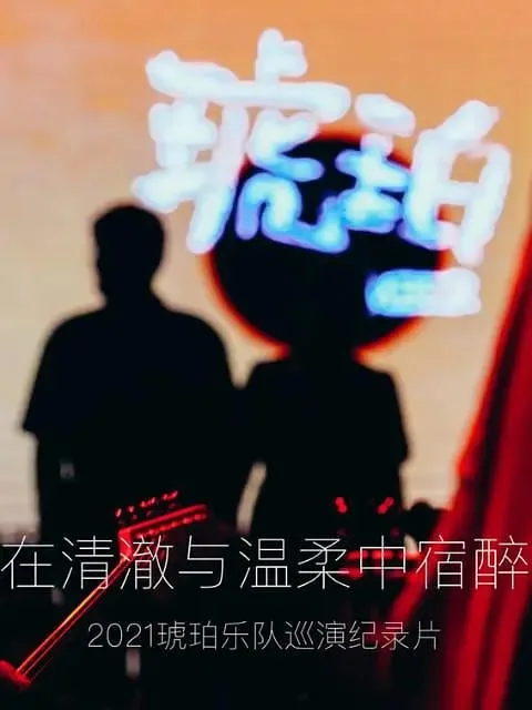 琥珀，在清澈与温柔中宿醉 (2021) | 纪录片