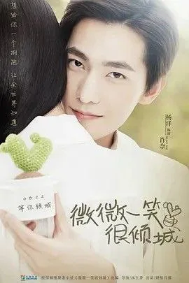 微微一笑很倾城 (2016) ｜ 剧情 ｜ 爱情 ｜ 青春