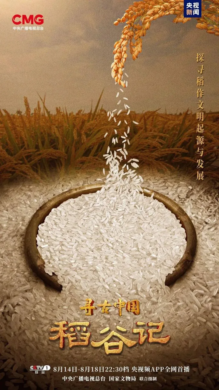 寻古中国·稻谷记 (2023) ｜ 纪录片 ｜ 历史 ｜ 考古