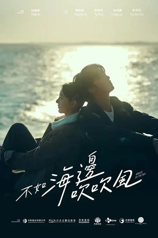 不如海边吹吹风 2024 ｜ 剧情 ｜ 爱情 ｜ 喜剧