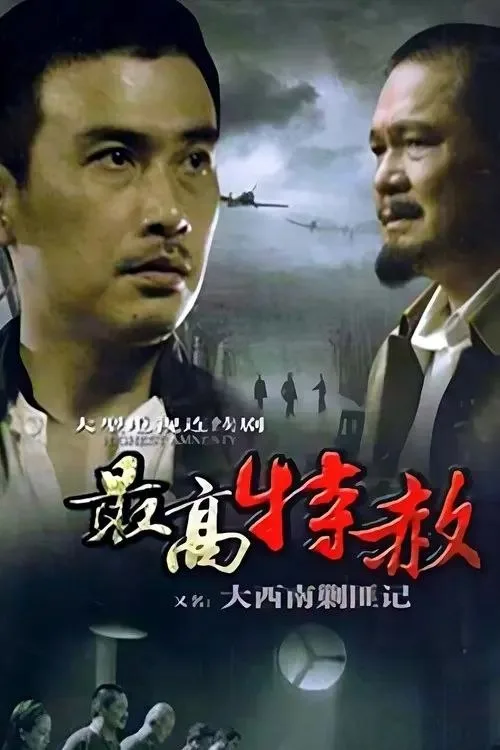 大西南剿匪记 2009 ｜ 剧情｜战争