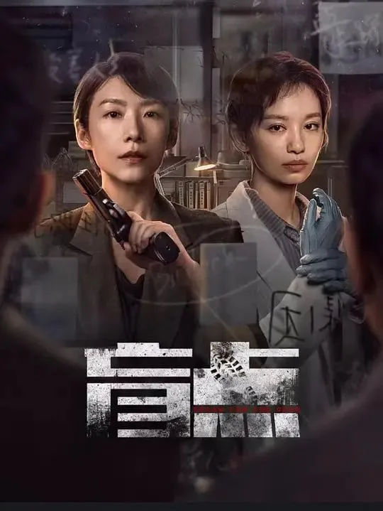 盲点 (2025) ｜ 剧情｜犯罪