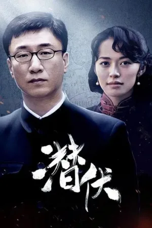 潜伏 (2009) ｜剧情｜历史｜谍战