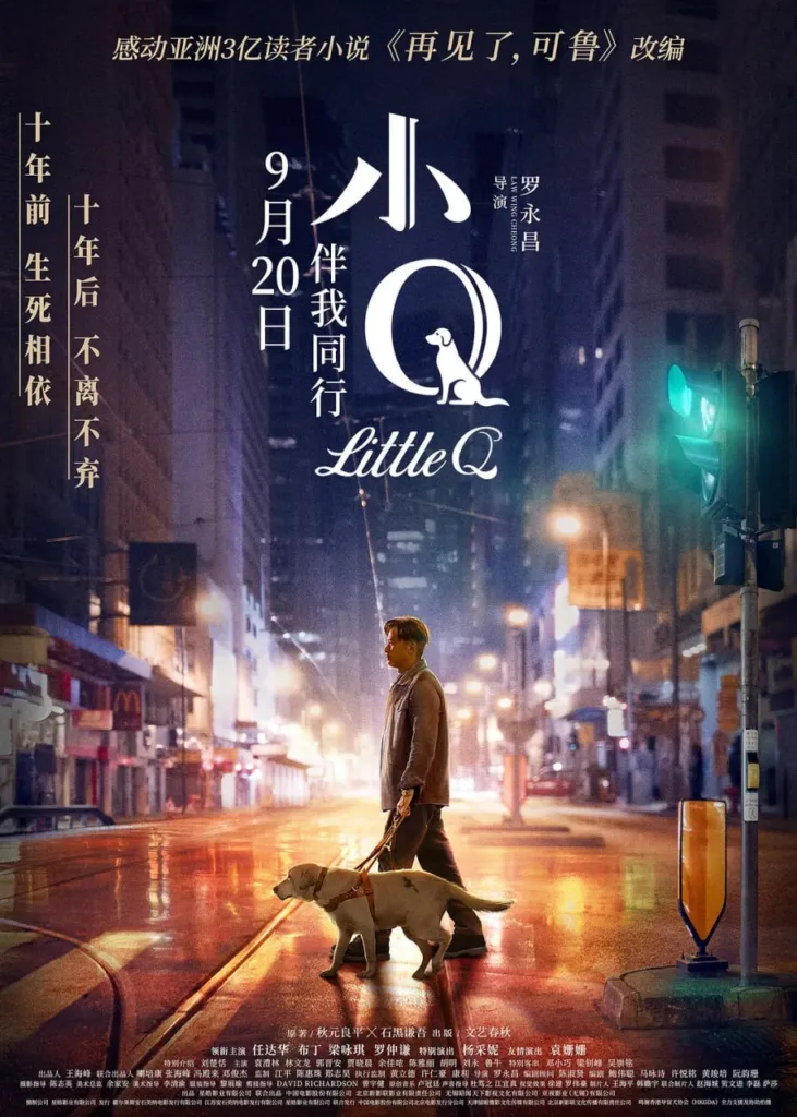 小Q (2019) | 剧情