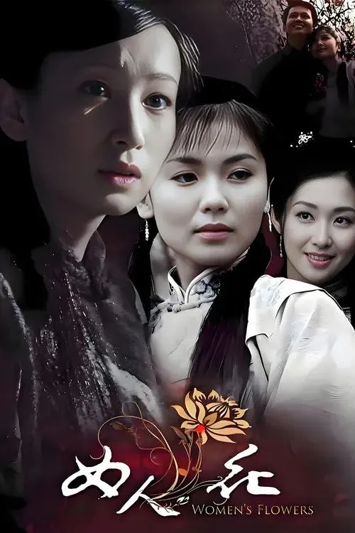 女人花 2008 ｜ 剧情｜爱情｜国剧