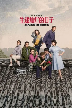 生逢灿烂的日子 ｜ 剧情 ｜ 家庭 电影海报 - 高清剧照