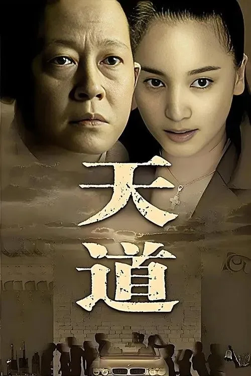天道 2008 ｜ 剧情｜爱情｜国剧